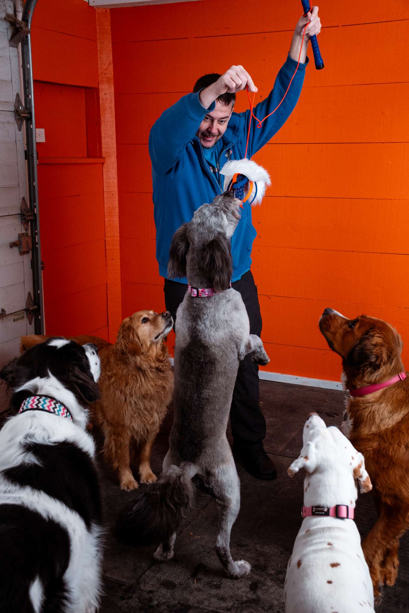 Training Flirt Pole - Image 4