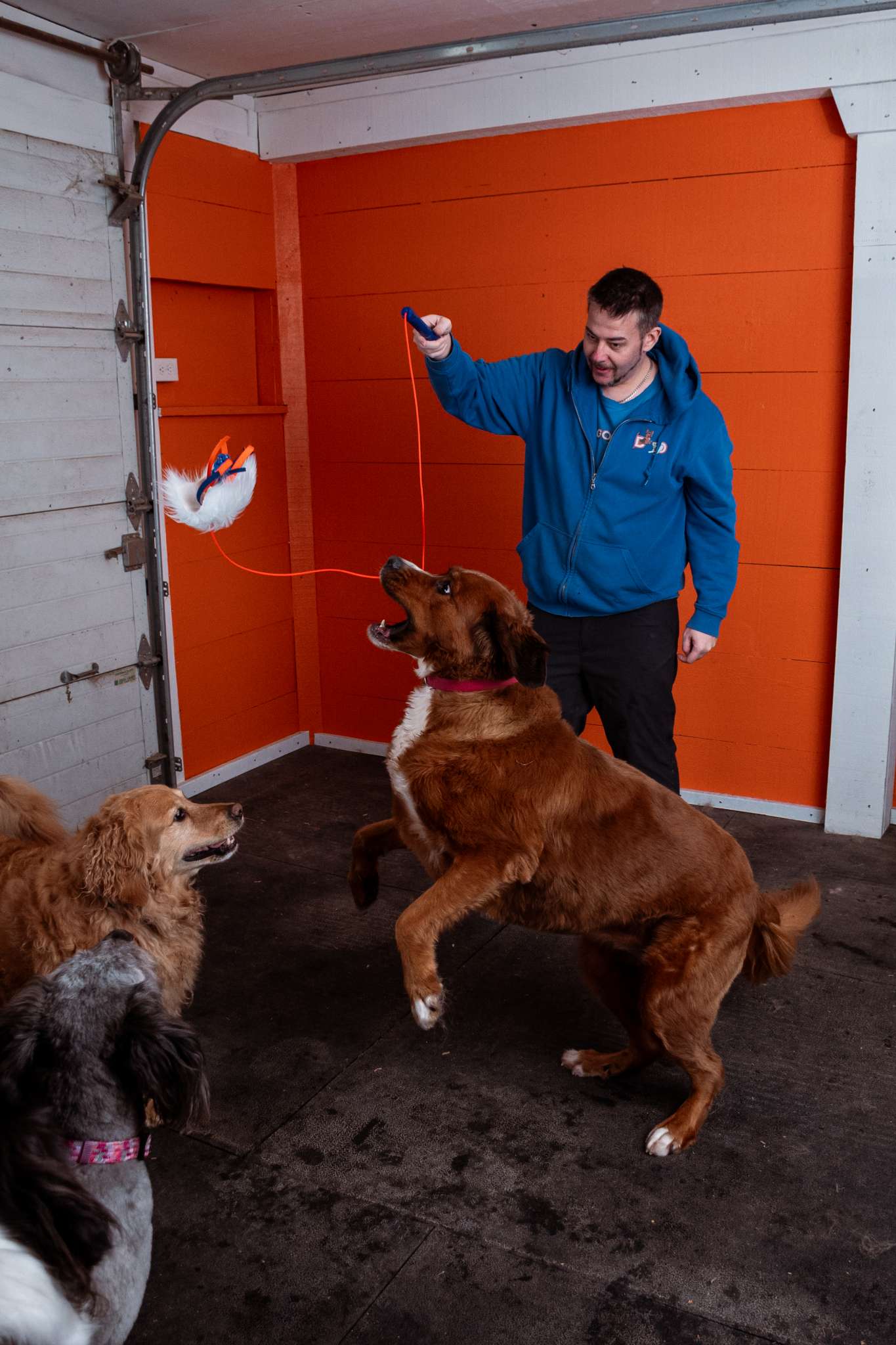 Training Flirt Pole - Image 5