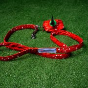 Fabric/webbing Leashes - Recycled