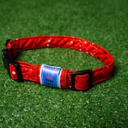 Collars - Webbing/Fabric - Recycled