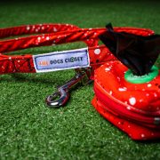 Leash and Collar COMBO - Webbing/Fabric - Recycled